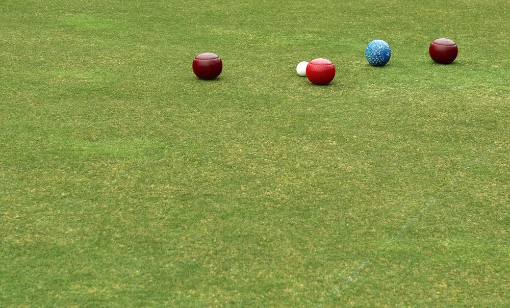 Some colored lawn bowls in a line with the white ball known as the jack are all sitting on the bowling green